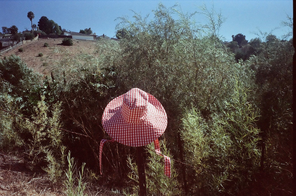 The Mary Hat resting on a post among tall green brush under a blue sky